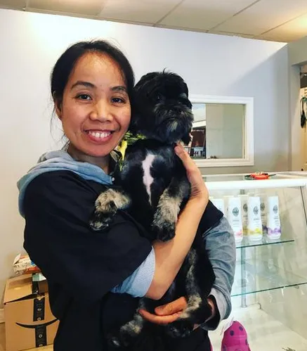 Dog grooming in Hamilton,dog grooming in Hamilton,mpdoggrooming,mp dog grooming,grooming,Dog pampering,pets,Dog grooming in Hamilton,Muttedly Pawsome Dog Grooming