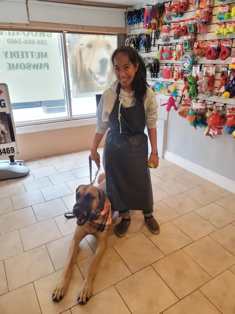 Dog grooming in Hamilton,dog grooming in Hamilton,mpdoggrooming,mp dog grooming,grooming,Dog pampering,pets,Dog grooming in Hamilton,Muttedly Pawsome Dog Grooming